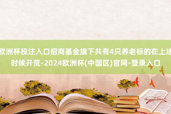 欧洲杯投注入口招商基金旗下共有4只养老标的在上述时候开荒-2024欧洲杯(中国区)官网-登录入口