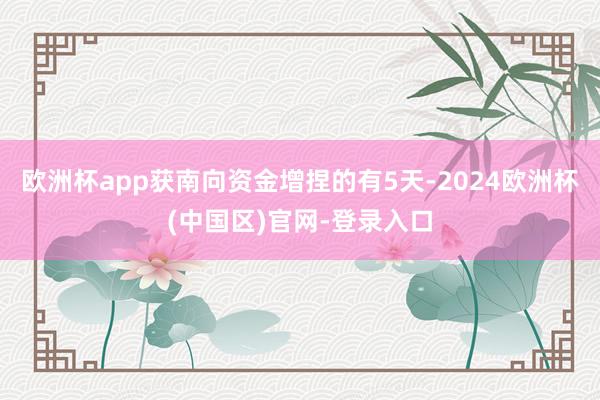 欧洲杯app获南向资金增捏的有5天-2024欧洲杯(中国区)官网-登录入口