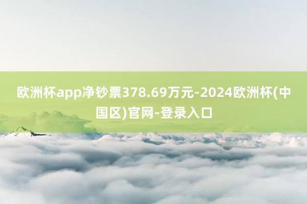 欧洲杯app净钞票378.69万元-2024欧洲杯(中国区)官网-登录入口